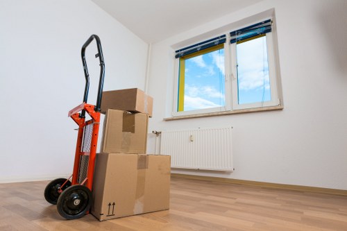 Mover assessing access points during a planned house removal
