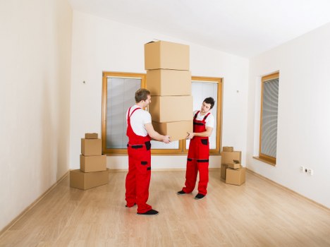 Local office move preparation in Earls Court with labelled boxes