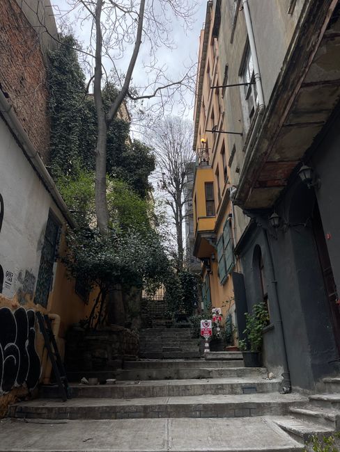 A narrow outdoor staircase composed of concrete steps ascending between buildings on Old Brompton Road, with some steps showing signs of wear. On the left side, a black metal handrail is attached to the wall, and a graffiti-covered section of the wall is visible. The right side features a grey building façade with a small black wall-mounted light and a doorway with a partially visible door. Potted plants and greenery are positioned along the steps, and a large tree with leafless branches extends overhead, creating a canopy. In the background at the top of the stairs, there are parked vehicles, including a black van, and a few signs visible near the street level. The scene is lit by natural daylight, suggesting an overcast day, and this setting is characteristic of typical house removals or furniture transport scenarios involving narrow stairs and limited parking in urban residential areas, as managed by Earl's Court Removals.